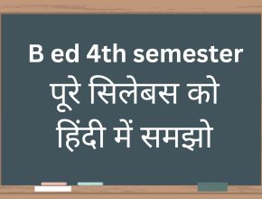 BEd fourth semester syllabus in Hindi
