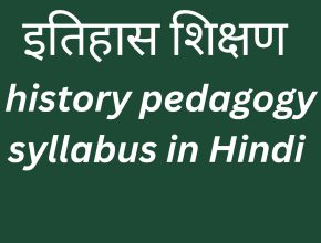 history pedagogy syllabus in Hindi