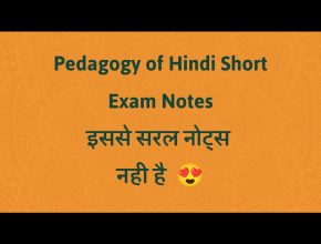 Pedagogy of Hindi Short Exam Notes