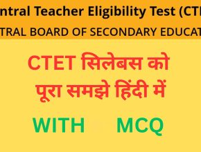 ctet syllabus in Hindi